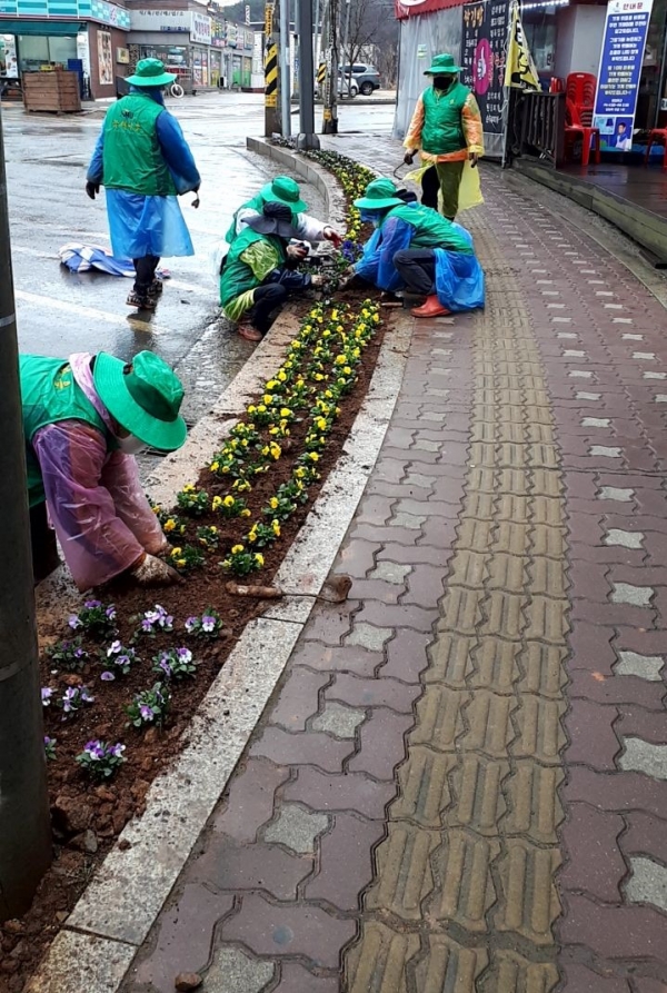 메인사진