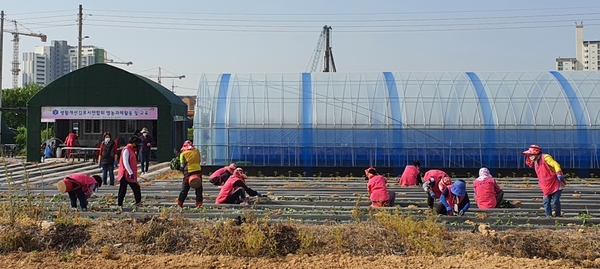 메인사진