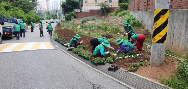 메인사진