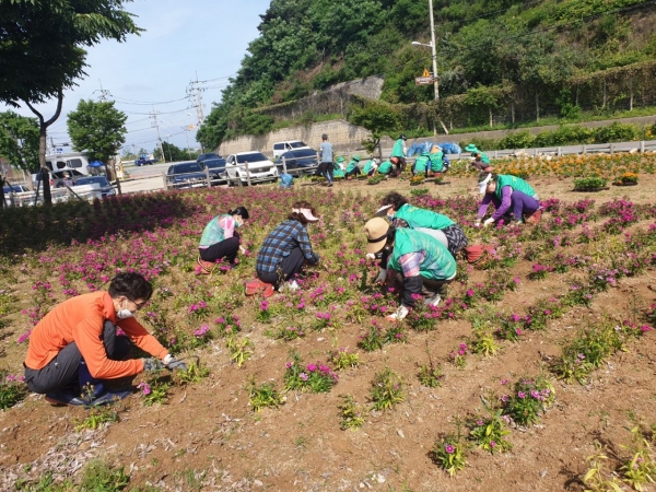 메인사진