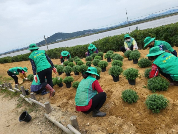 메인사진