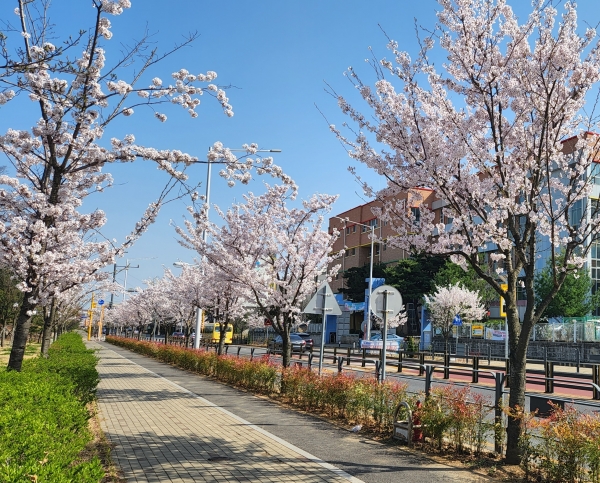 메인사진