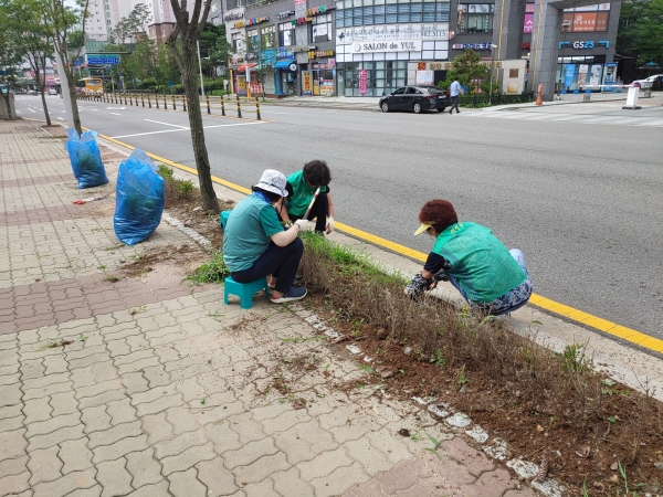 메인사진