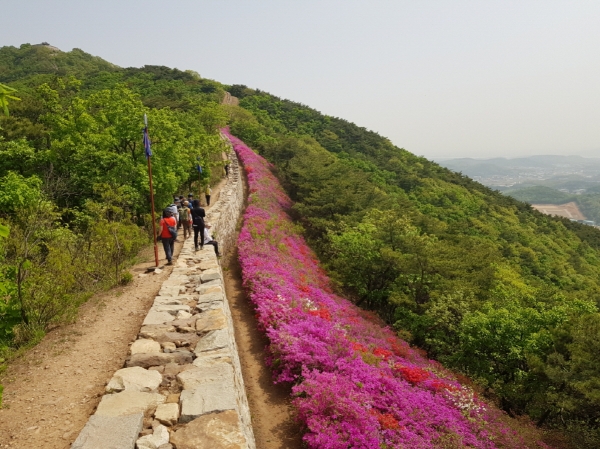 메인사진