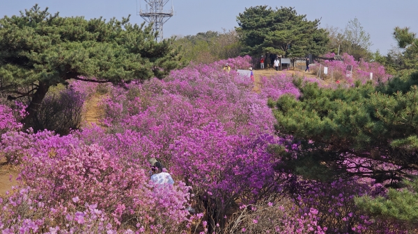 메인사진