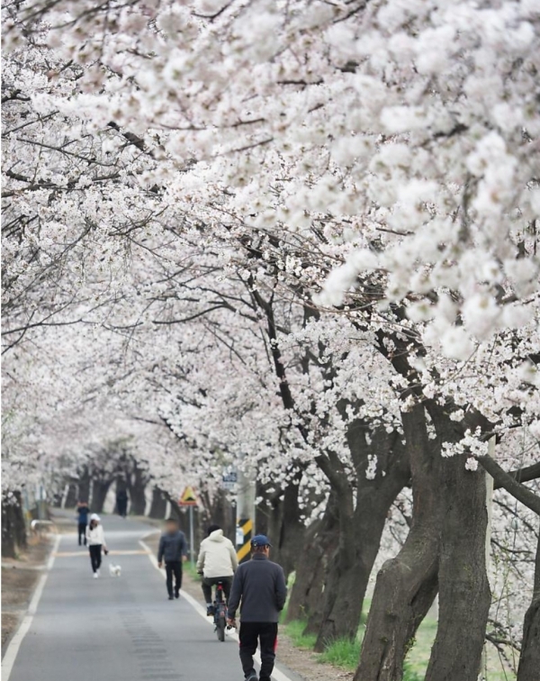 메인사진