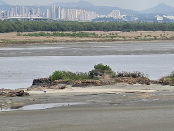 메인사진