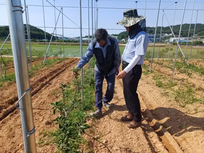 메인사진