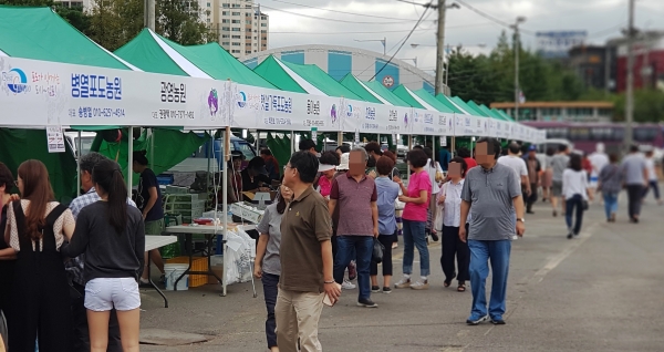 김포포도 직거래 장터 / 더 김포