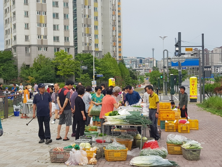 2019년 김포농업인새벽시장 모습