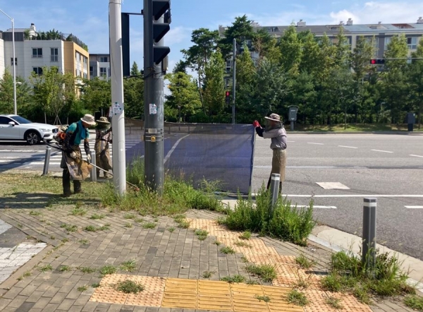 김포시 도로변환경정비 ⓒ김포시 제공