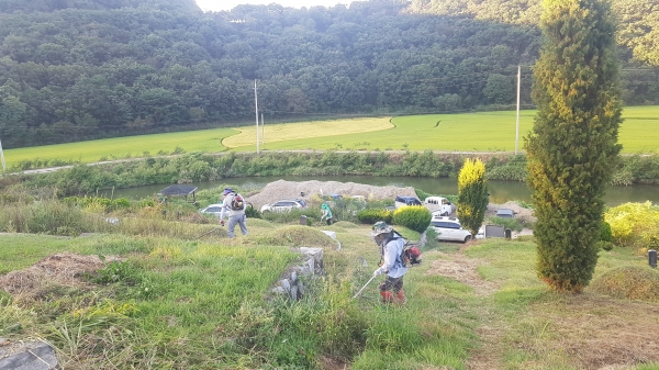 월곶면, 추석 귀경길 앞서 벌초 작업 '구슬땀’