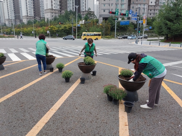 장기동 새마을회 식재