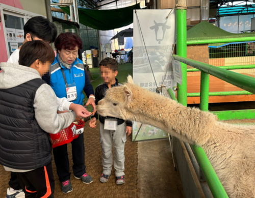 메인사진